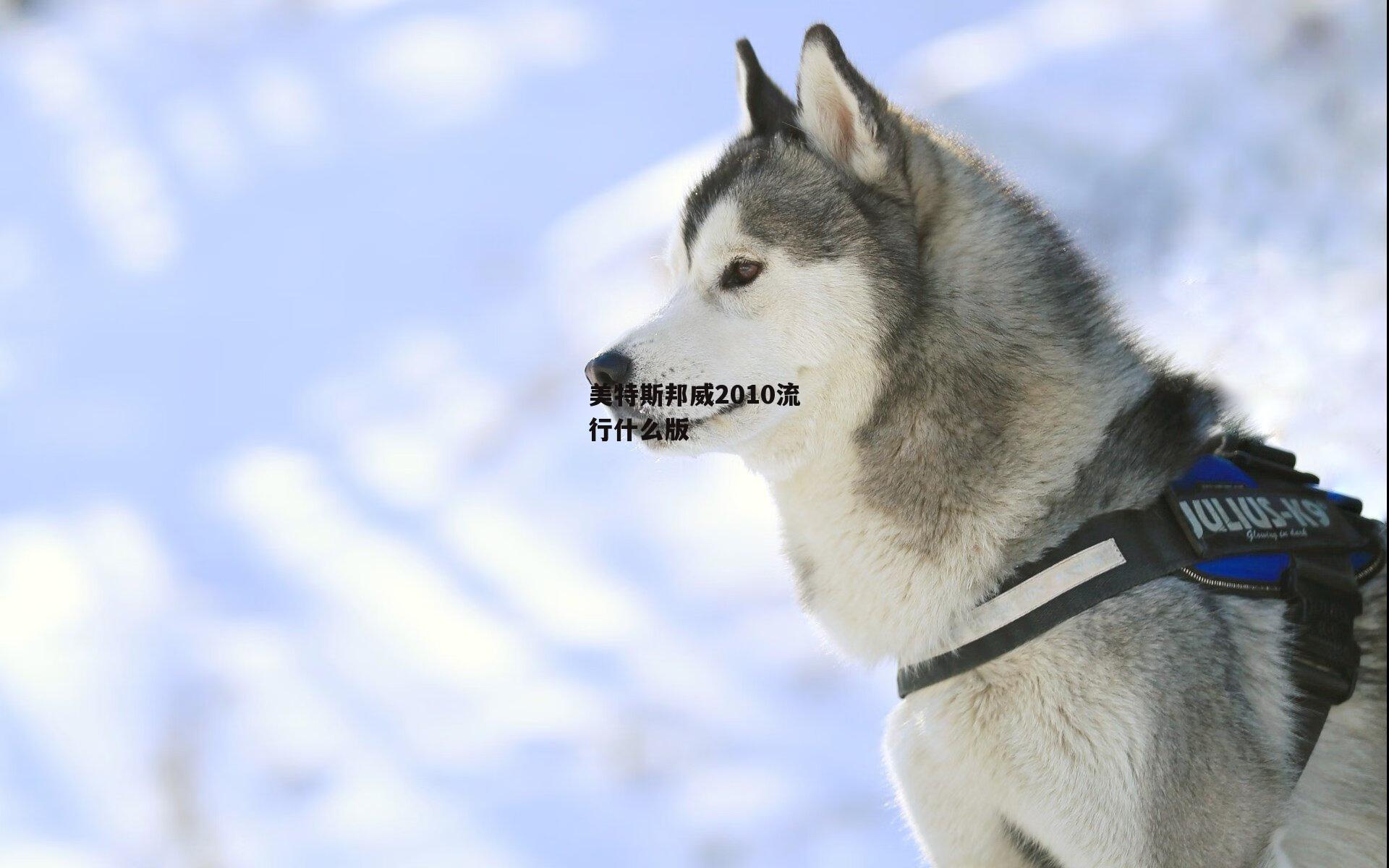 美特斯邦威2010流行什么版