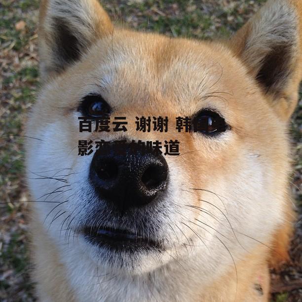 百度云 谢谢 韩国电影恋爱的味道